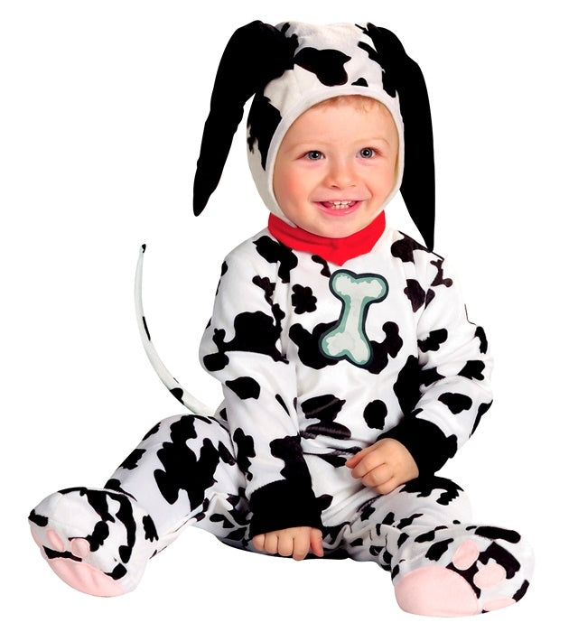 Dalmata