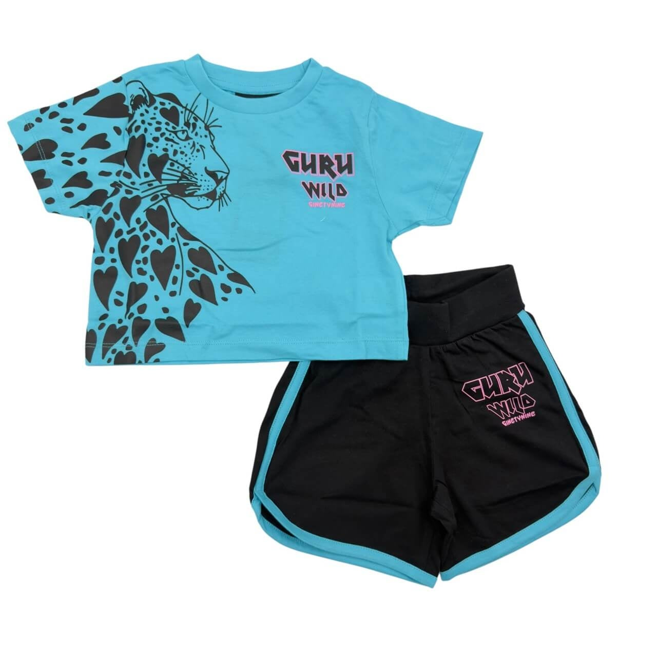 Completo Bimba Guru