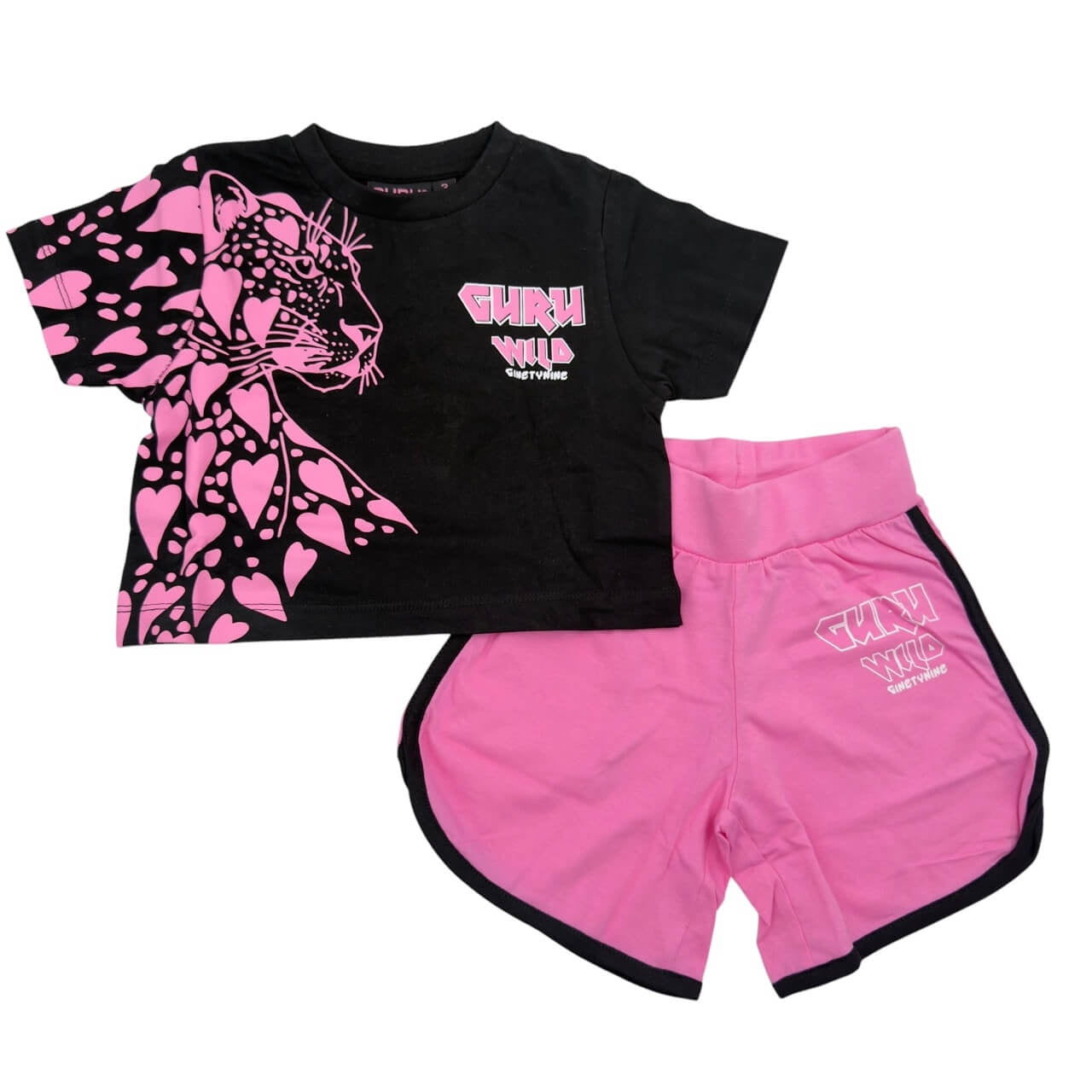 Completo Bimba Guru
